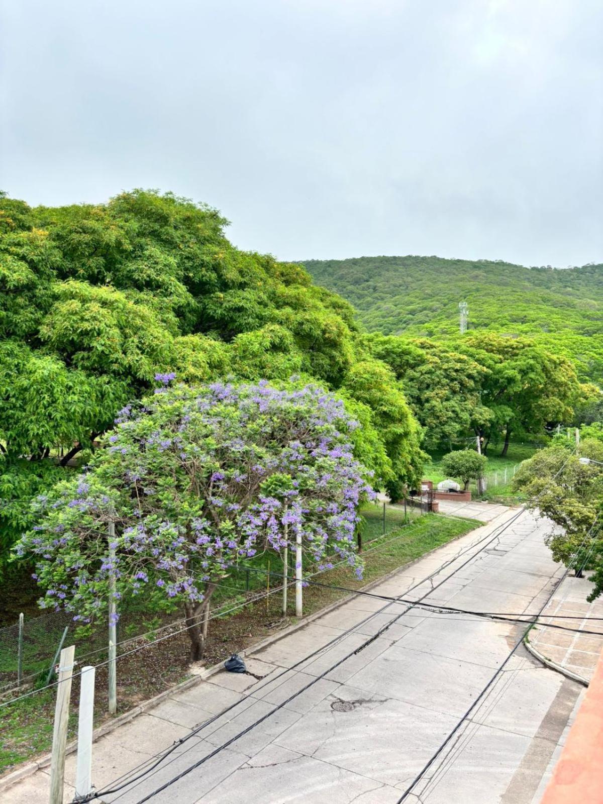 Guest House ซัลตา ภายนอก รูปภาพ